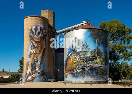 Silo Art in Rochester, Victoria, Australien Stockfoto