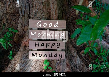 Text auf Holzrahmen, der auf dem alten Baum trump liegt - Guten Morgen Happy Monday Stockfoto