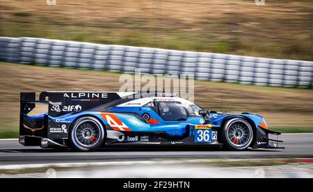 36 THOMAS LAURENT (FRA) ANDRE NEGRAO (BRA) PIERRE RAGUES (FRA) ALPINE A470 - GIBSON SIGNATECH ALPINE elf AKTION während des Prologes der FIA WEC World Endurance Championship 2019 in Barcelona Catalunya, Spanien, 23. Bis 24. juli - Foto Francois Flamand / DPPI Stockfoto