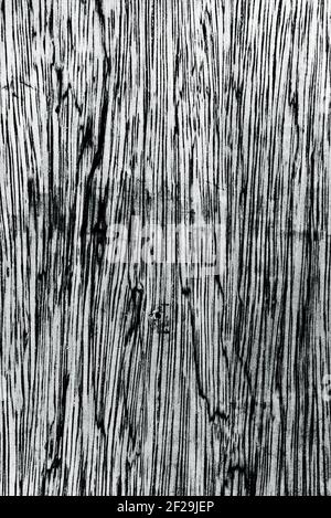 Abstrakte Graustufen Halbton Grunge Textur Stockfoto