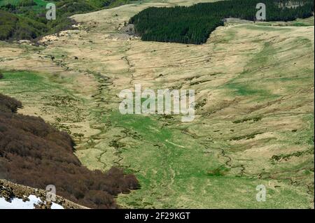 Formen und Fluss von oben gesehen, grüne Farben in Auvergne, Frankreich (Mont-Dore) Stockfoto