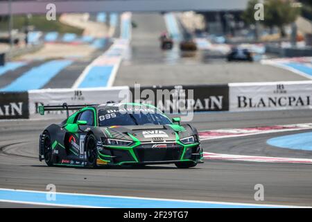 17 DAVIES Shae, PETIT Paul, MACDOWALL Paul, Audi R8 LMS GT3 2019, Team WRT, Aktion während des Blancpain GT Series Endurance Cup 2019. 1000 km du Paul Ricard, Le Castellet, Mai 31 bis juni 2, Frankreich - Foto Marc de Mattia / DPPI Stockfoto
