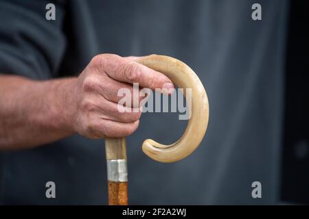 Nahaufnahme eines Hirten Hand hält seine Hirten quok. Cumbria, Großbritannien Stockfoto