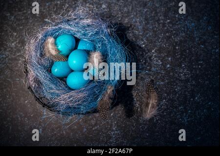 Mystisch färbende Ostereier mit Zweigen in einem dekorativen Nest auf blauem Hintergrund. Hintergrund mit Kopierbereich. Selektiver Fokus Stockfoto