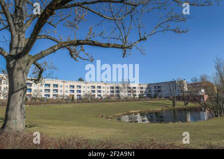 Wohnhäuser, Hufeisenteich, Lowise-Reuter-Ring, Hufeisensiedlung, Britz, Neukölln, Berlin, Deutschland Stockfoto