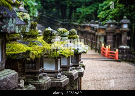 Reihen aus altem Stein und hölzernen Laternen mit Moos bedeckt. Die Laternen säumen einen Weg durch den Wald und führen zum Kasuga Grand Shrine. Nara, J Stockfoto