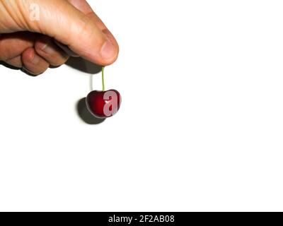 Eine Nahaufnahme einer roten, reifen, glänzenden, frischen Süßkirsche, die aus ihrem Stamm genommen wurde, mit isolierten Fingern auf weißem Hintergrund. Copyspace Stockfoto