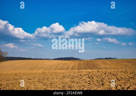 Ein trockenes landwirtschaftliches Feld in Glabais (Genappe), Belgien Stockfoto