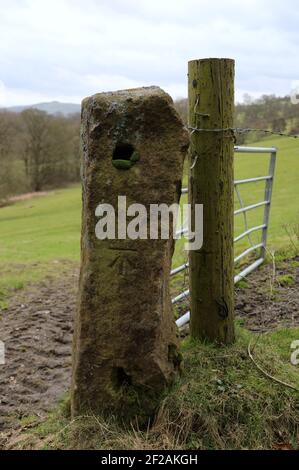 Benchmark auf einem Steinpfosten im ländlichen Derbyshire Stockfoto