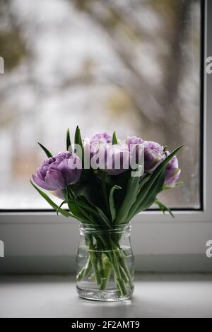 Nahaufnahme lila Tulpen Foto. Frühling Konzept. Natürliche girly Hintergrund. Blumen Design. Langsames Leben achtsames Leben Stockfoto