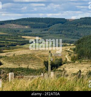 Holzfingerpost (Cleveland Way National Trail), landschaftlich reizvolle Hügelkuppe, Waldbäume am Hang & hügelige Landschaft - Sutton Bank, Yorkshire, England Stockfoto