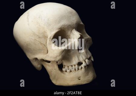 Menschlicher Schädel des sechzehnten Jahrhunderts. Foto aufgenommen auf dem Fontanelle Friedhof in Neapel Stockfoto