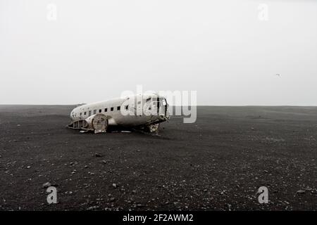 DC-D McDonnell Douglas solheimasandur Flugzeugwrack am schwarzen Sandstrand Einsamer fliegender Vogel Stockfoto