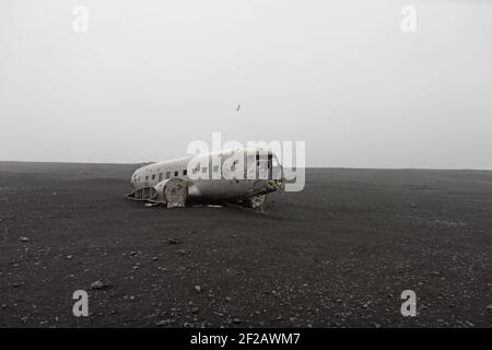 DC-D McDonnell Douglas solheimasandur Flugzeugwrack am schwarzen Sandstrand Einsamer fliegender Vogel Stockfoto