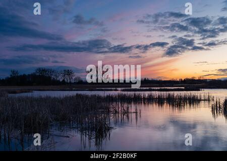 Schöner Abendhimmel über dem See mit Schilf Stockfoto