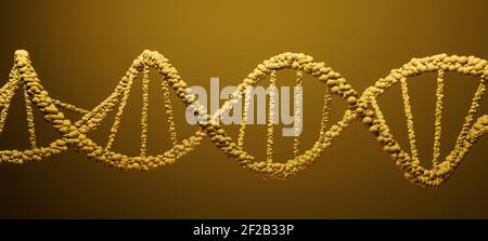 DNA, Deoxyribonukleinsäure, Struktur des Doppelhelix-Moleküls, Polynucleotidketten, Atome, Stränge der menschlichen genetischen Struktur 3D-Modelldarstellung Stockfoto