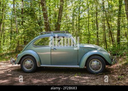 Ein klassischer, blassgrüner Volkswagen Käfer mit Bäumen im Hintergrund. Stockfoto