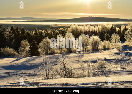 UN lever de Soleil sur une forêt givrée, Sainte-Apolline, Québec Stockfoto