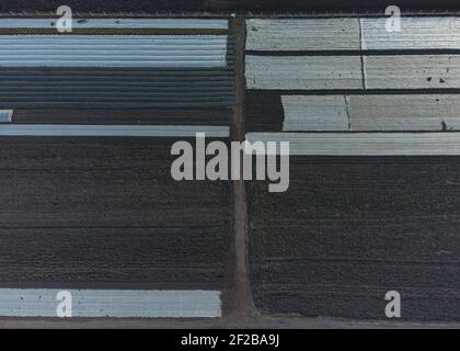 Luftaufnahme des gepflügten Frühlingsfeldes mit Polyethylen bedeckt. Landwirtschaft und Landwirtschaft. Stockfoto