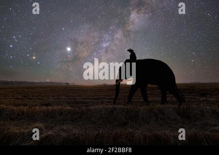 Silhouette eines Mahouts auf einem Elefanten in ländlicher Landschaft bei Nacht, Thailand Stockfoto