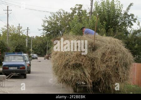 Vrancea, Rumänien. Pferd zieht einen mit Heu gefüllten Karren, mit den Bauern oben. Stockfoto