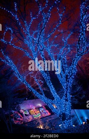 Zoo Lights Night im Smithsonian National Zoological Park im Dezember jedes Jahres, um die Saison zu feiern. Stockfoto