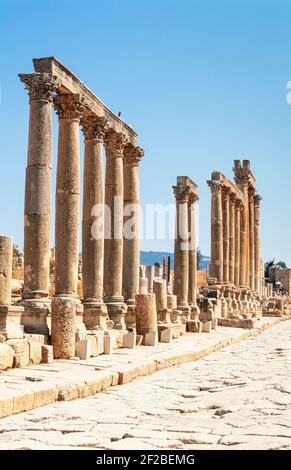 2000 Jerash Jordan Middle East - Kalksteinsäulen des Cardo Jarash North Jordan Middle East. Gerasa oder Jerash ist eine Stadt im Norden Jordaniens. Die Stadt liegt 30 km nördlich der Hauptstadt Amman. Jerash gilt als eine der größten und am besten erhaltenen Stätten der römischen Architektur in der Welt außerhalb Italiens. Dies ist die lange Kolonnadenstraße oder Cardo und seine Seitenstraßen oder decumani.Cardo war der lateinische Name, der einer Nord-Süd-Straße in antiken römischen Städten und Militärlagern als integraler Bestandteil der Stadtplanung gegeben wurde. In Jerash überlebte die ursprüngliche Straßenoberfläche. Stockfoto