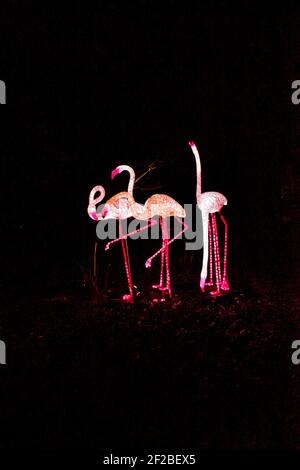 Zoo Lights Night im Smithsonian National Zoological Park im Dezember jedes Jahres, um die Saison zu feiern. Stockfoto