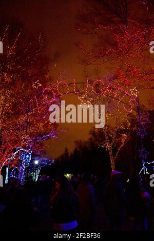 Zoo Lights Night im Smithsonian National Zoological Park im Dezember jedes Jahres, um die Saison zu feiern. Stockfoto