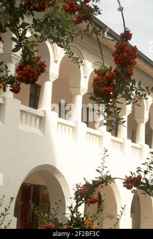 Kloster Kaldarusani, Kreis Ilfov, Rumänien. Die Unterkunft der Mönche, im architektonischen Stil von Brancovesc gebaut. Stockfoto