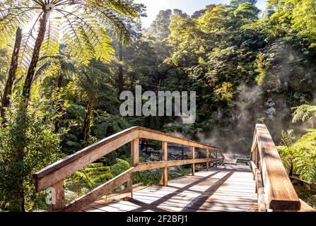 Besuch Caldeira Velha, Naturdenkmal, auf Sao Miguel Insel, Azoren Reiseziel. Stockfoto