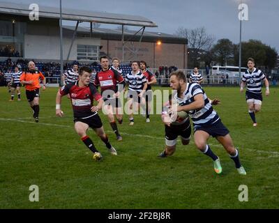 Glasgow, Schottland, Großbritannien. 1st. November 2014: Ein Rugby-Spiel gegen Glasgow Hawks und Herriot. Stockfoto