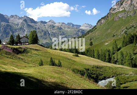 Alpenfluss des Schweizer Engadiner Fex-Tals. Stockfoto