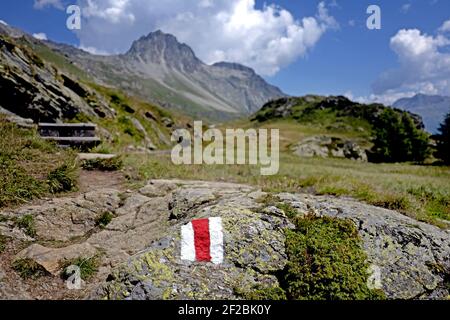 Alpenweg mit Schweizer Alpen-Landschaft im Engadin. Sils Maria, Maloja, Schweiz. Stockfoto