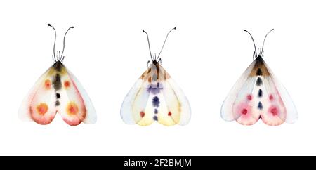 Aquarell Schmetterlinge Set. Sammlung von bunten Insekten isoliert auf weiß. Detailreiche weiße, gelbe, rosa Flügel. Handbemalte Sommerillustration Stockfoto