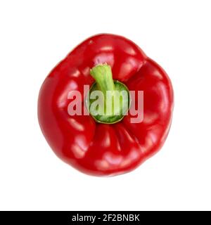 Pfeffer isoliert auf weißem Hintergrund. Paprika. Rote Paprika. Rote Paprika. Draufsicht. Stockfoto