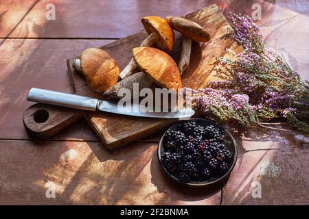 Leccinum vulpinum, oder Red-capped Bolete, Brombeere und Calluna vulgaris Haufen auf einem rostigen Hintergrund in einem Sonnenstrahl. Waldgeschenke Stockfoto