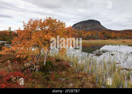 Blick von der Tsahkaljärvi-Wanderung Stockfoto