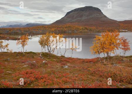 Blick von der Tsahkaljärvi-Wanderung Stockfoto