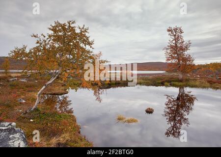 Blick von der Tsahkaljärvi-Wanderung Stockfoto