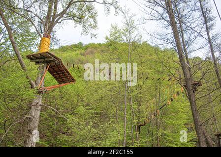 Sportanlage Zipline Spur in den Bäumen im Park. Stockfoto