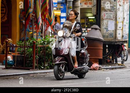 Der Verkehr mit Motorrad in den Straßen von Hanoi in Vietnam Stockfoto