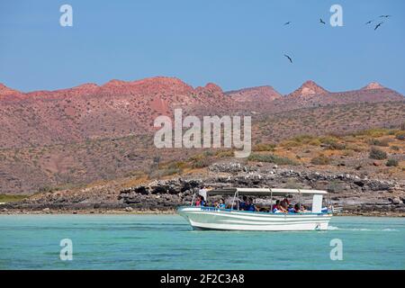 Touristenboot, das entlang der felsigen Küste der Isla Espíritu Santo segelt, Insel im Golf von Kalifornien bei La Paz, Baja California Cruz, Mexiko Stockfoto