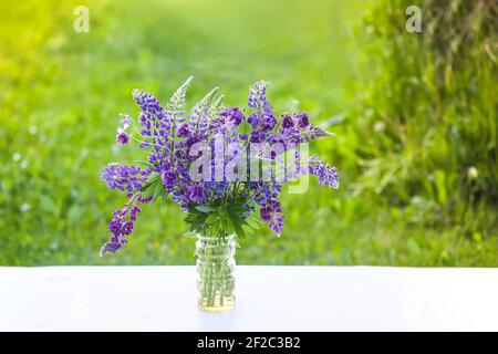Blumenstrauß im Freien. Großblättrige oder bigblättrige Lupinenblüten. Lupinus polyphyllus Pflanzen. Stockfoto