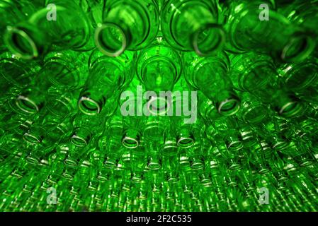 Reihen von grünen Glasflaschen auf dem Förderer in Nahaufnahme. Industriebrauerei Stockfoto