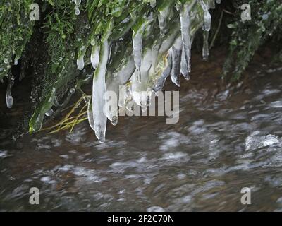 Eiszapfen-Formationen gefroren in der Zeit auf überhängenden Moos über rauschenden Strom in Winter Cumbria, England, Großbritannien Stockfoto