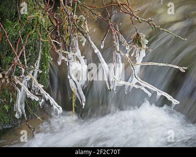 Eiszapfen-Formationen gefroren in der Zeit auf überhängenden Moos über rauschenden Strom in Winter Cumbria, England, Großbritannien Stockfoto