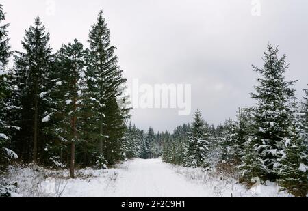 Landschaftlich schöner Blick auf eine Winterlandschaft Stockfoto