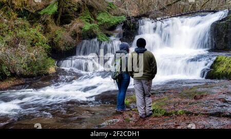 Ein Paar schaut auf den Alsea Falls Wasserfall in Oregon Stockfoto