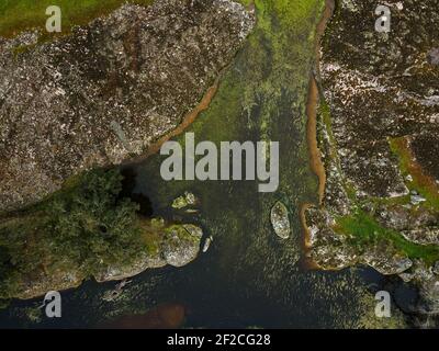 Landschaft mit Lagune in Dehesa de la Luz. Extremadura. Spanien. Stockfoto